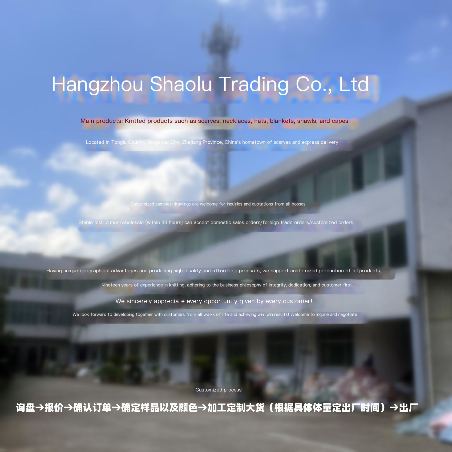 Geometric Pattern Knitted Blanket