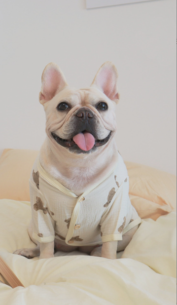 Comfortable dog clothing