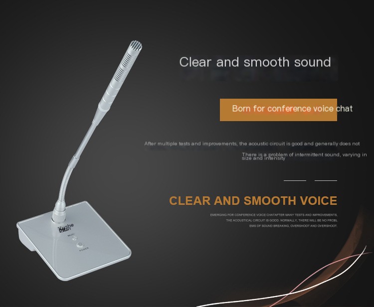 Microphone Setup