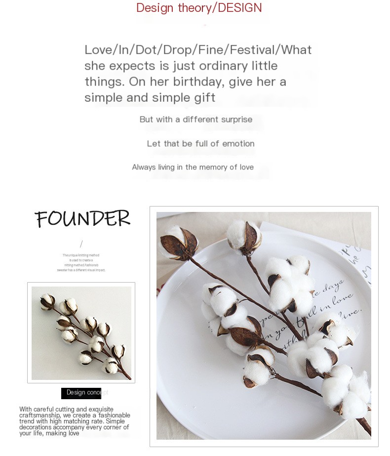 Cotton Dried Flower 4
