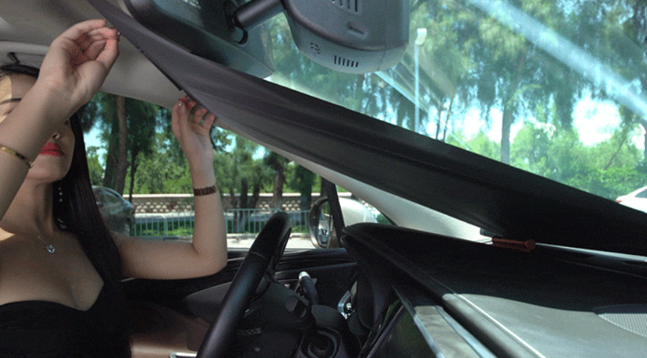 Imagen 2 del parasol del coche