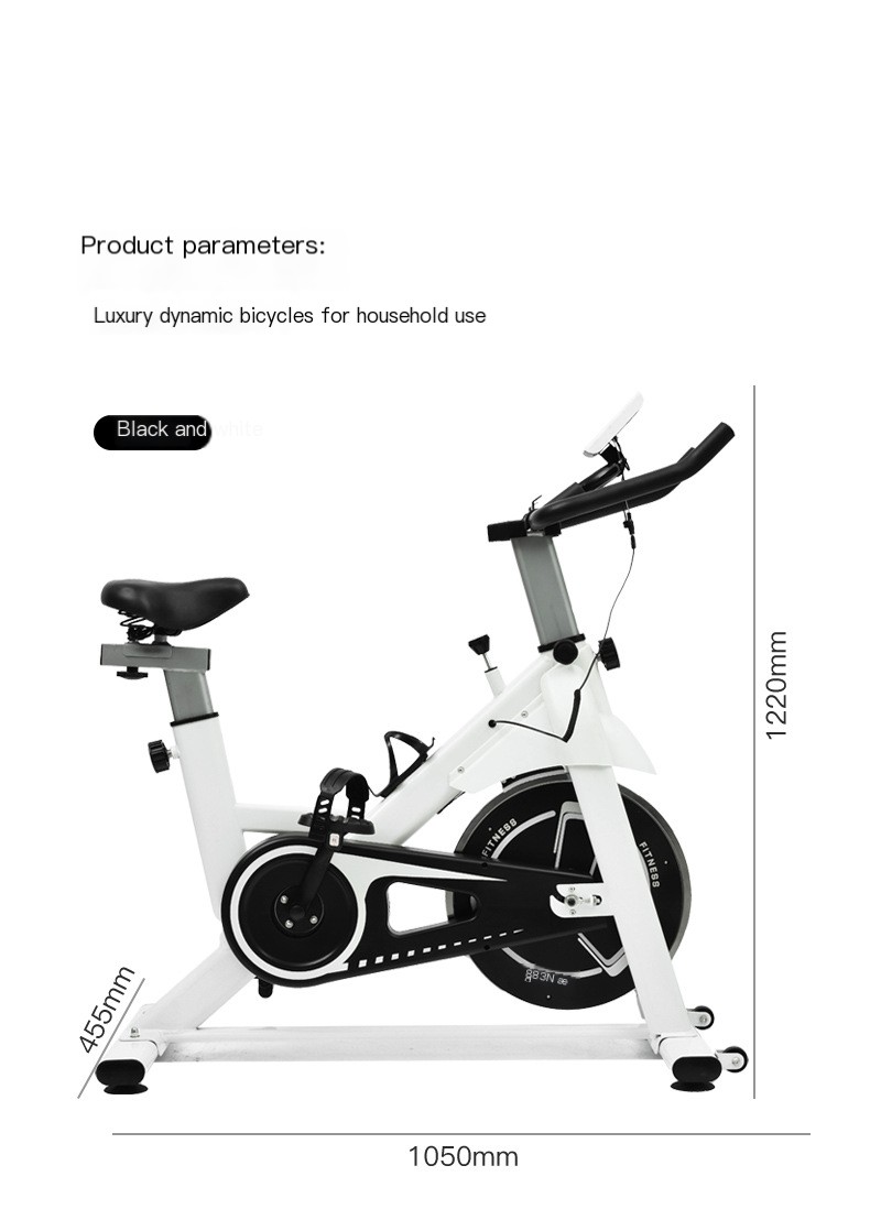 Small Wasp Indoor Exercise Bike