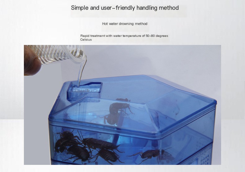 Cockroach Trap 5