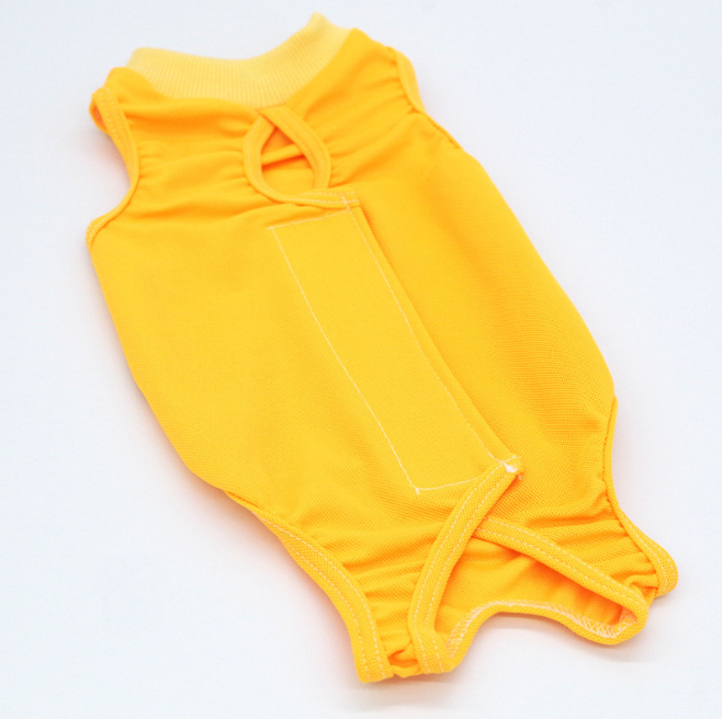 Weaning Clothes for Female Cats - Image 4