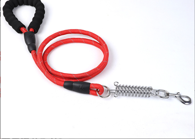 Eva Dog Leash Image 1