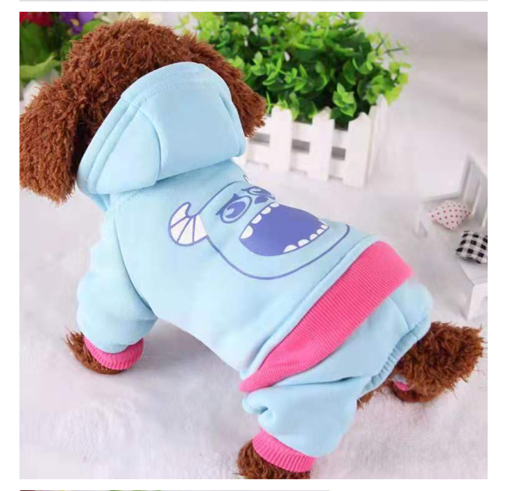 Dog in Hoodie
