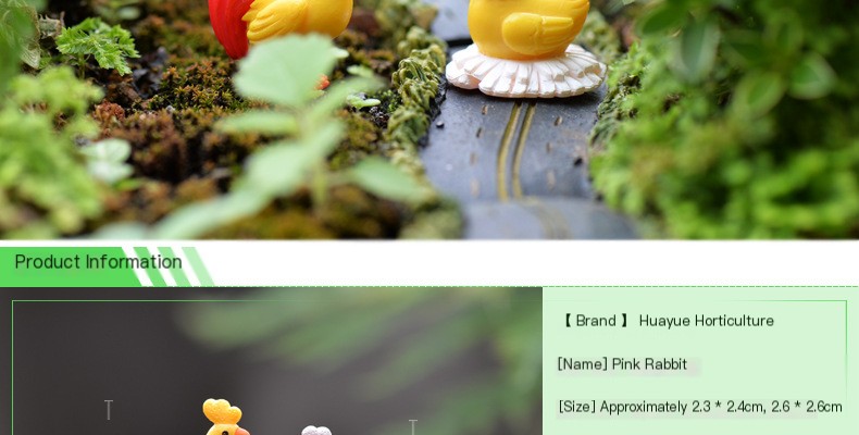 Miniature Chicken Family 2