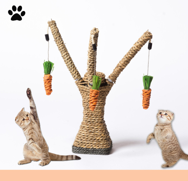 Cat Climbing Frame Image 3