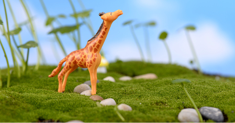 Cute Giraffe Decoration