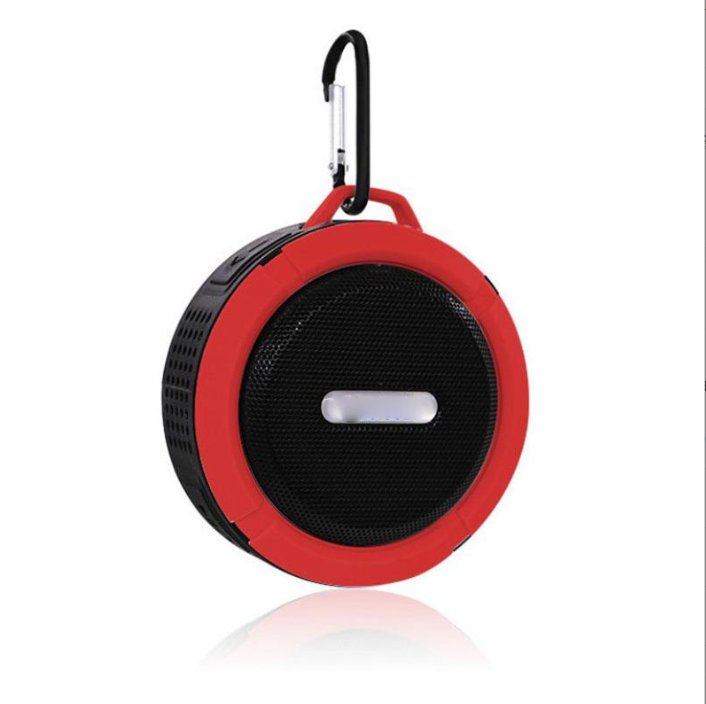 Speaker in Use