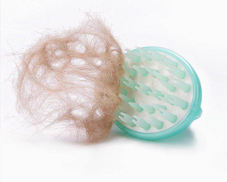 Pink Pet Brush