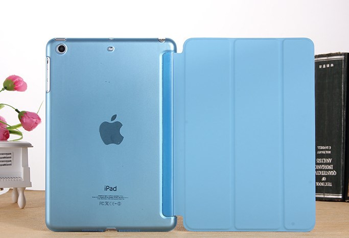 iPad Case 1