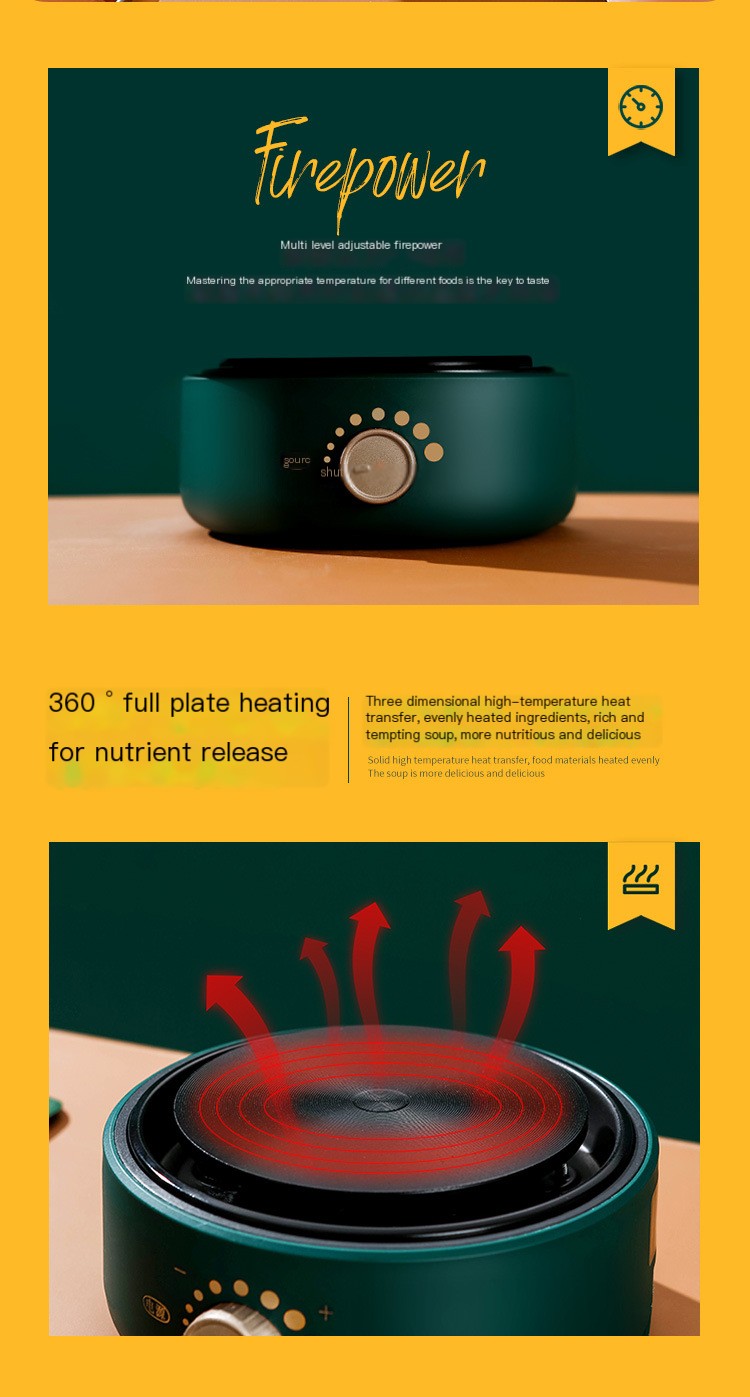 Portable Electric Cooking Pot 7