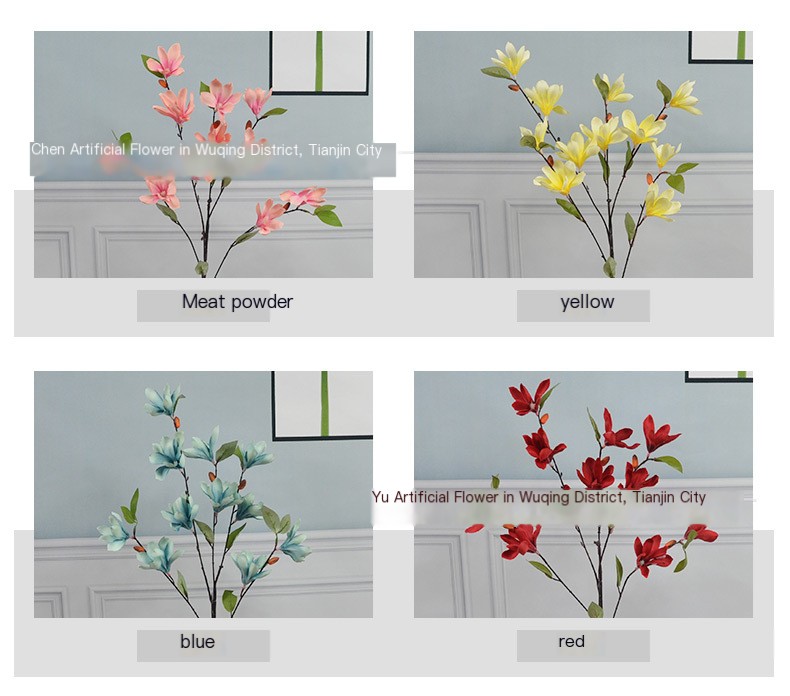 Orchid Image 3