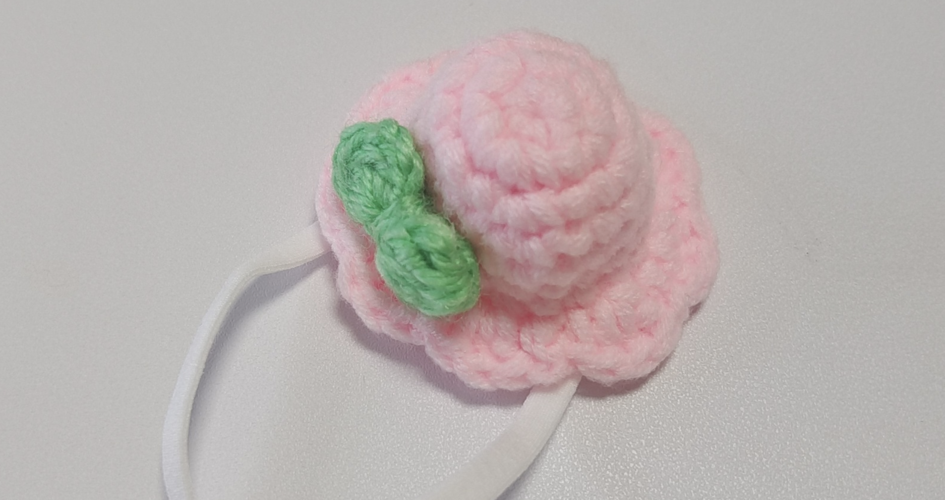 Pet Hat 1