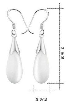 Water Drop Earrings