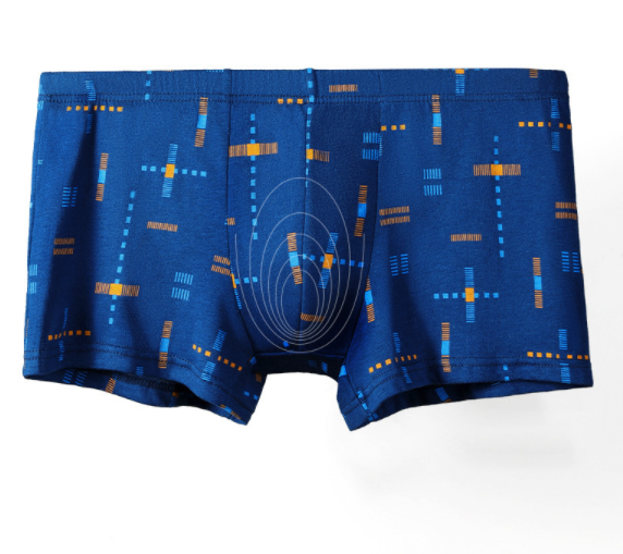 Swim Trunks 4