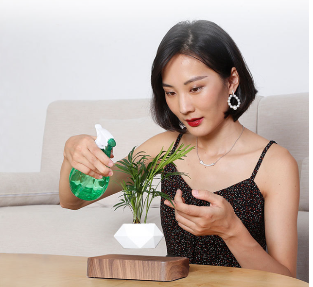 Magnetic Levitation Flowerpot 6
