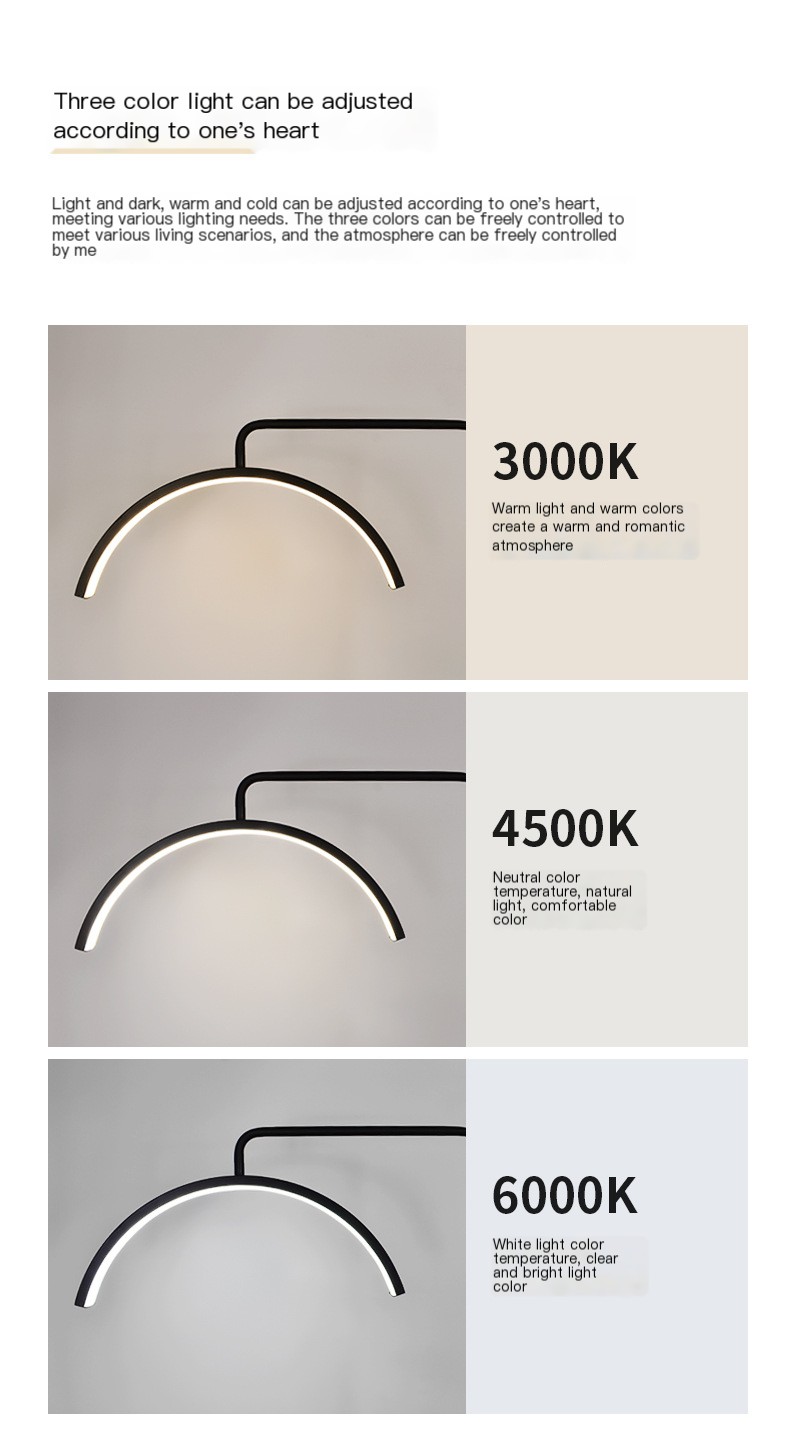 LED Beauty Floor Lamp