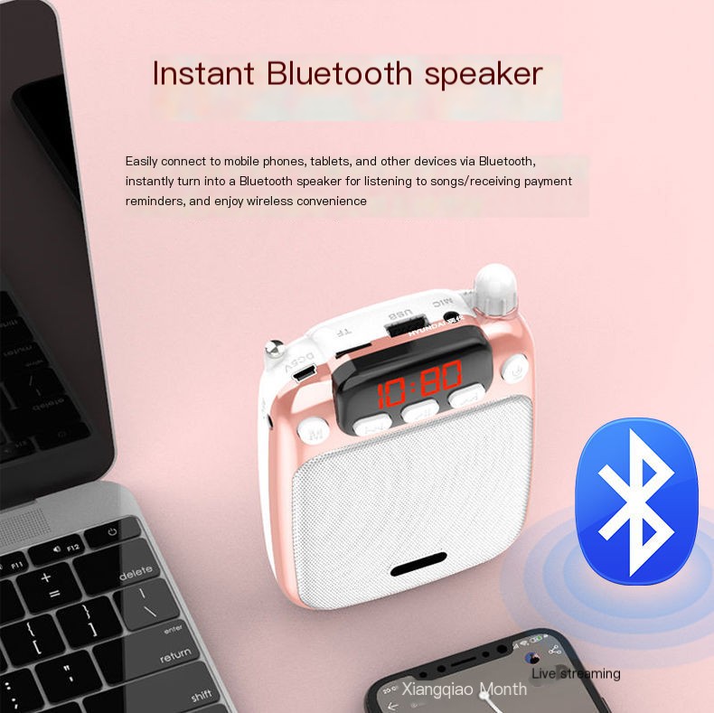 Bluetooth Portable Amplifier 15
