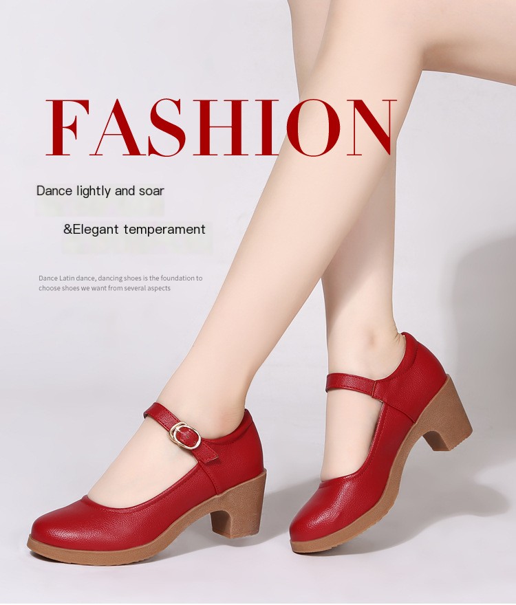 Dance Shoe Image 2