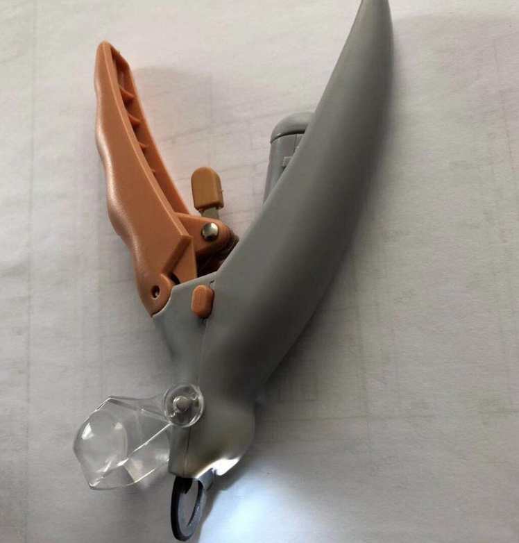Grooming Tools
