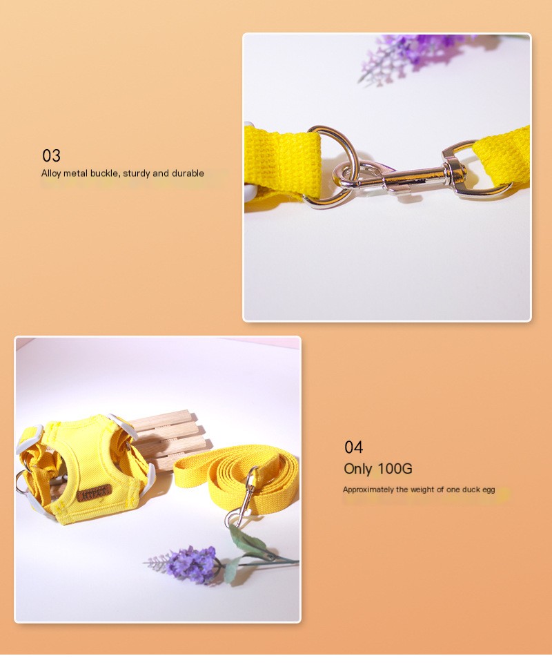 Pet Leash Design Features