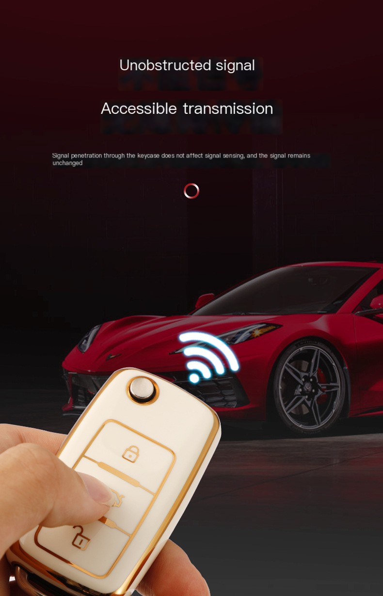 Volkswagen Key Case Variations