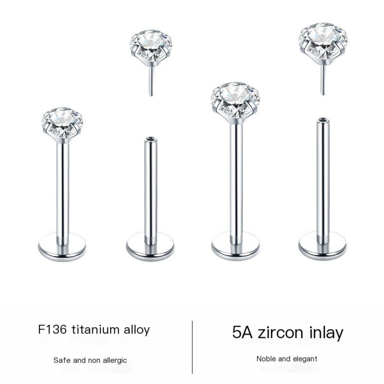 F136 Titanium Alloy Earrings