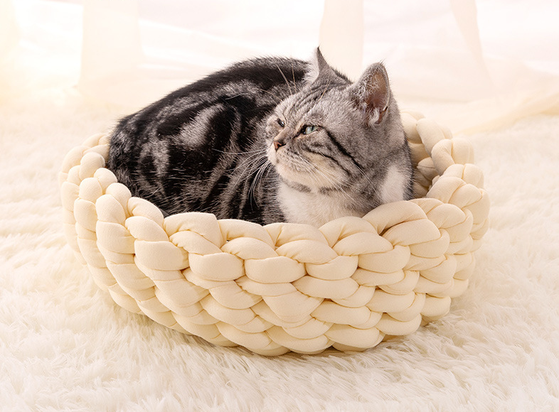 Pet Bed