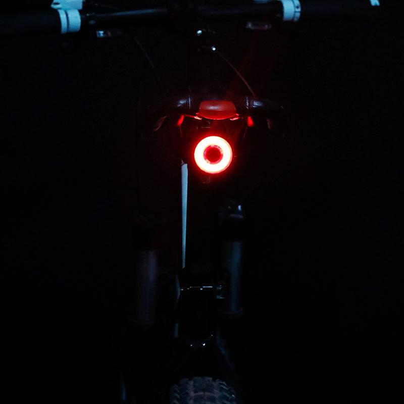 xlite100 Taillight Image 1