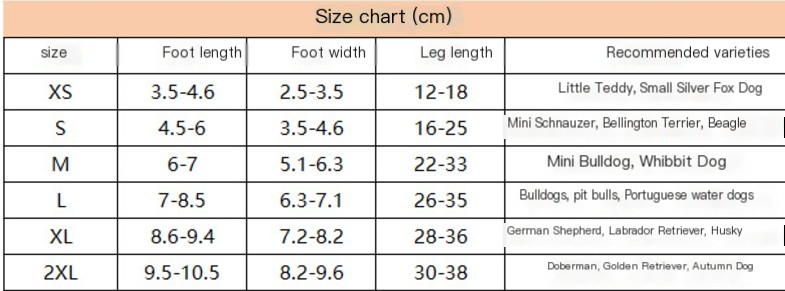 Dog Shoe 2