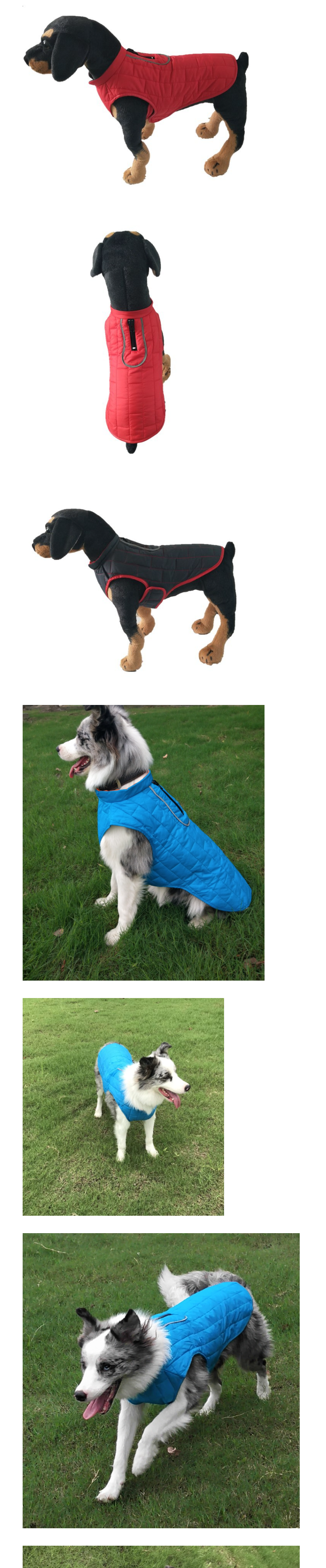 Dog Coat Variants