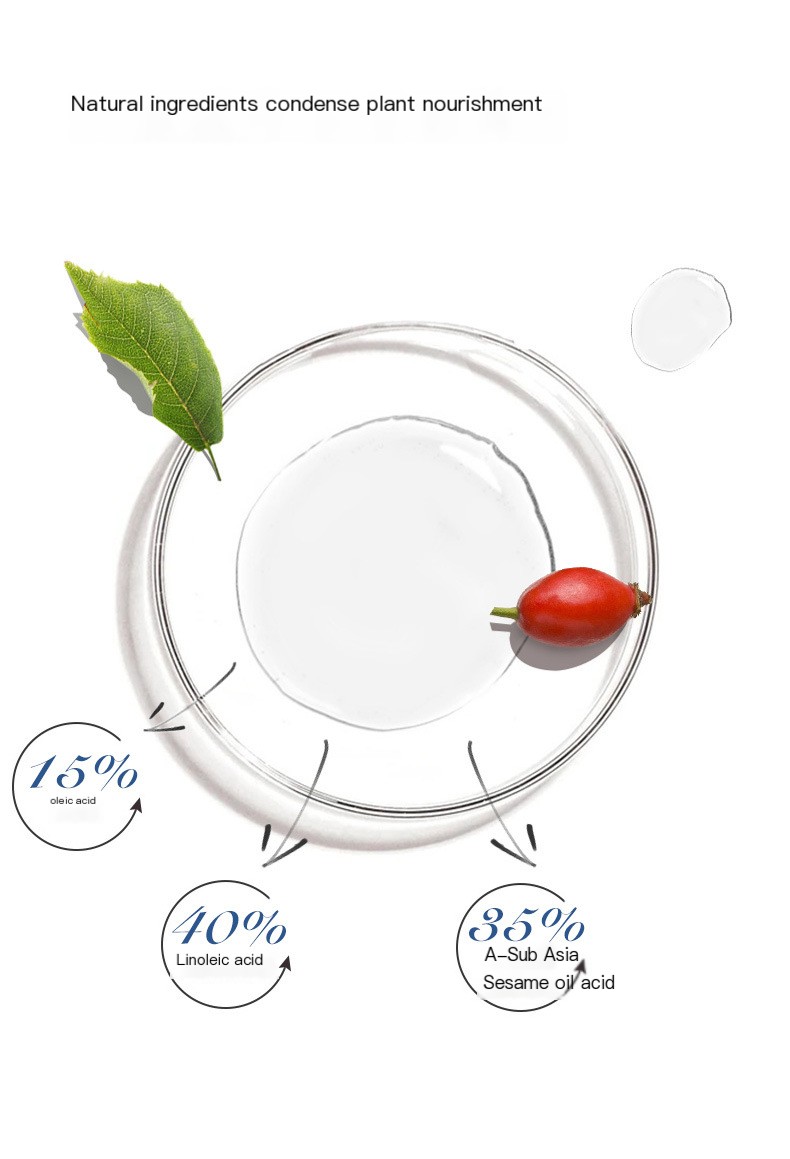 Rosehip Oil Image 4