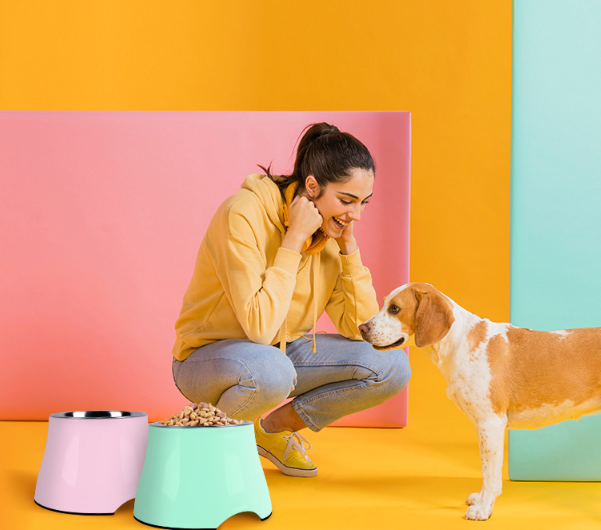Pet Feeding Bowl 4