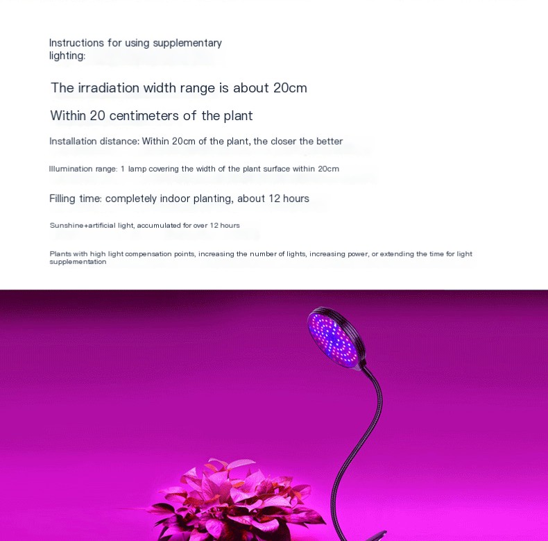 Plant Light 1
