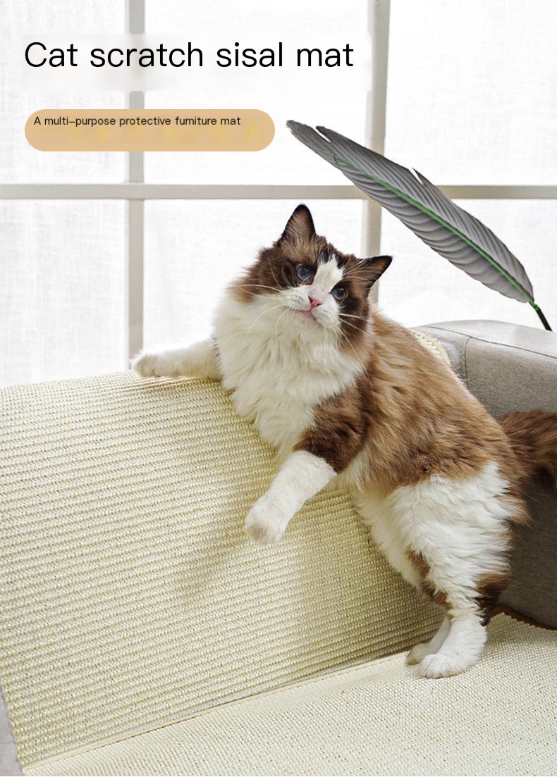 Cat Scratching Pad