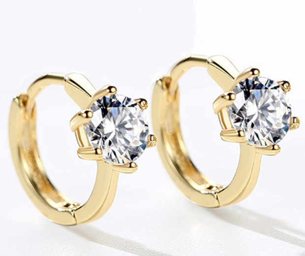 Elegant design of the earrings