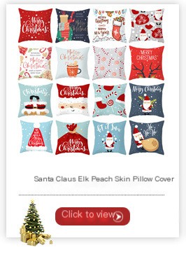 Decorative Pillow 5