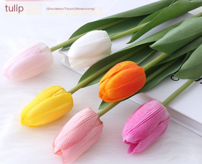 Single Branch Tulip Red