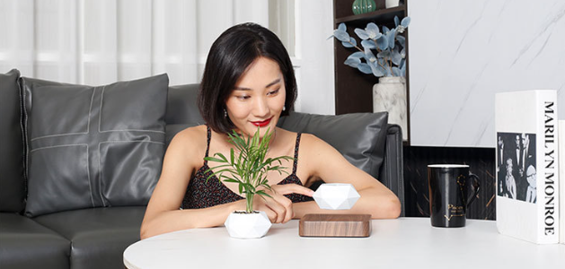 Magnetic Levitation Flowerpot 10