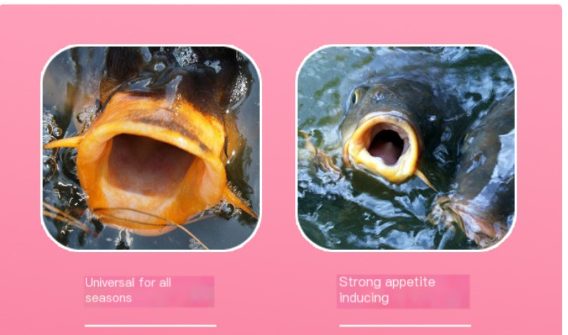 S Fish Attractant Image 4