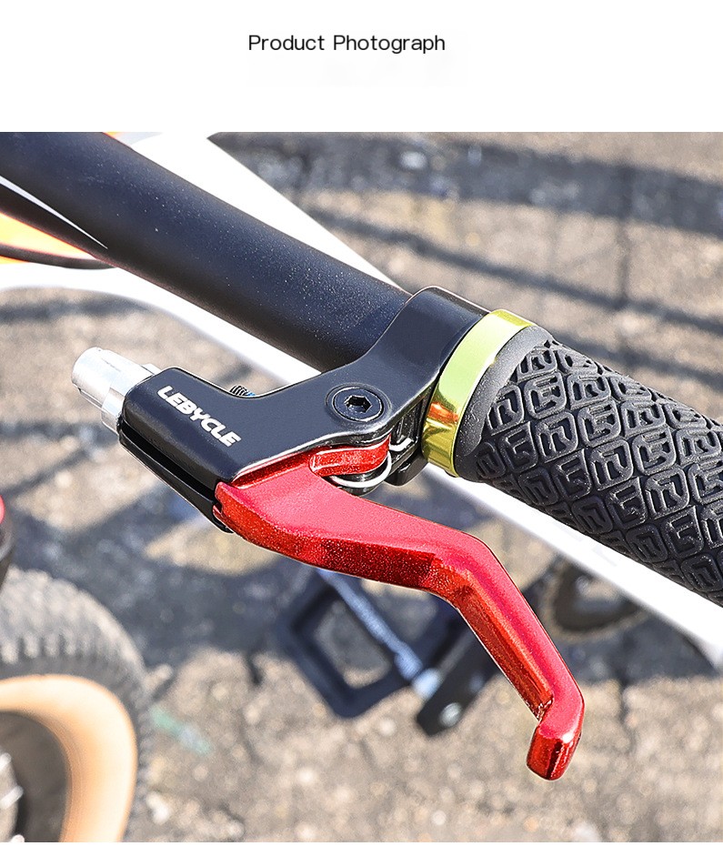 Bicycle Brake Handle Variations