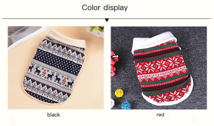 Dog wearing a stylish sweater