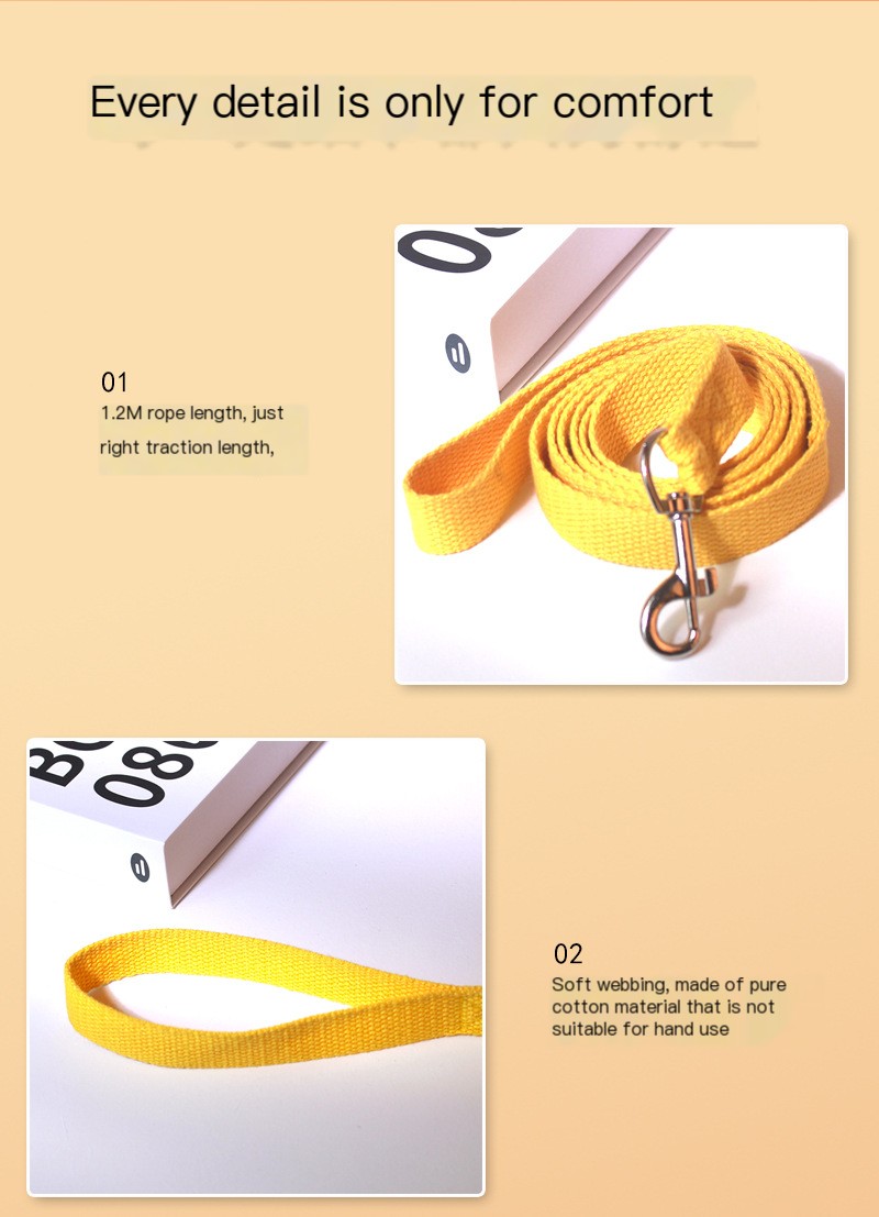 Pet Leash Close-up