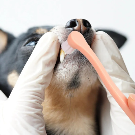 Dog Toothbrush 2