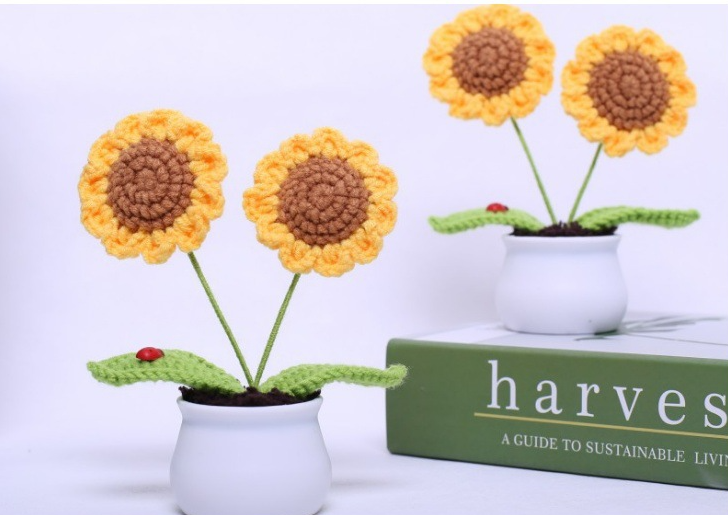 Mini Sunflower Plant
