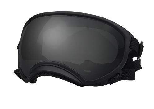 Dog Sunglasses