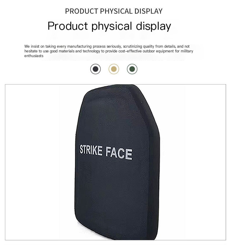 Bulletproof Insert 6