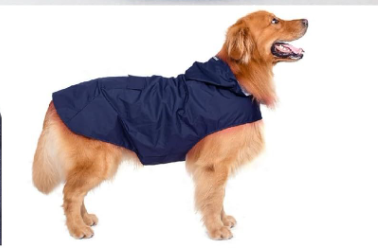 Big Dog Raincoat Red